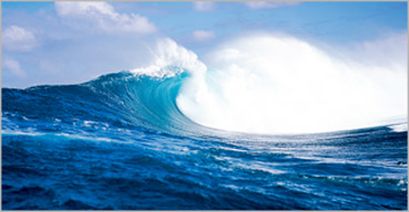 九五至尊VI老品牌值得信任 -官方网站